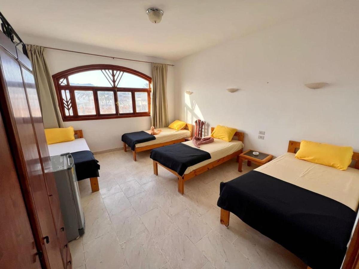Mr Dahab Hotel מראה חיצוני תמונה