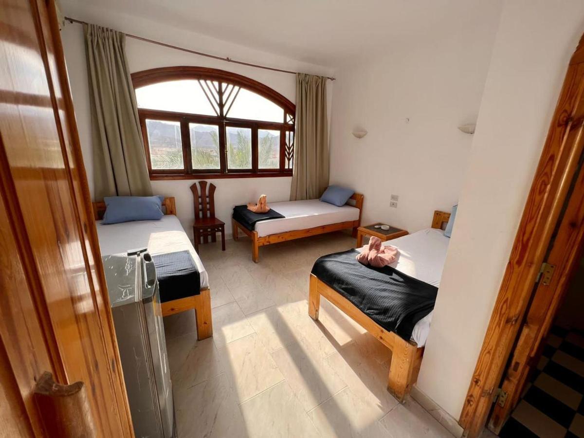 Mr Dahab Hotel מראה חיצוני תמונה